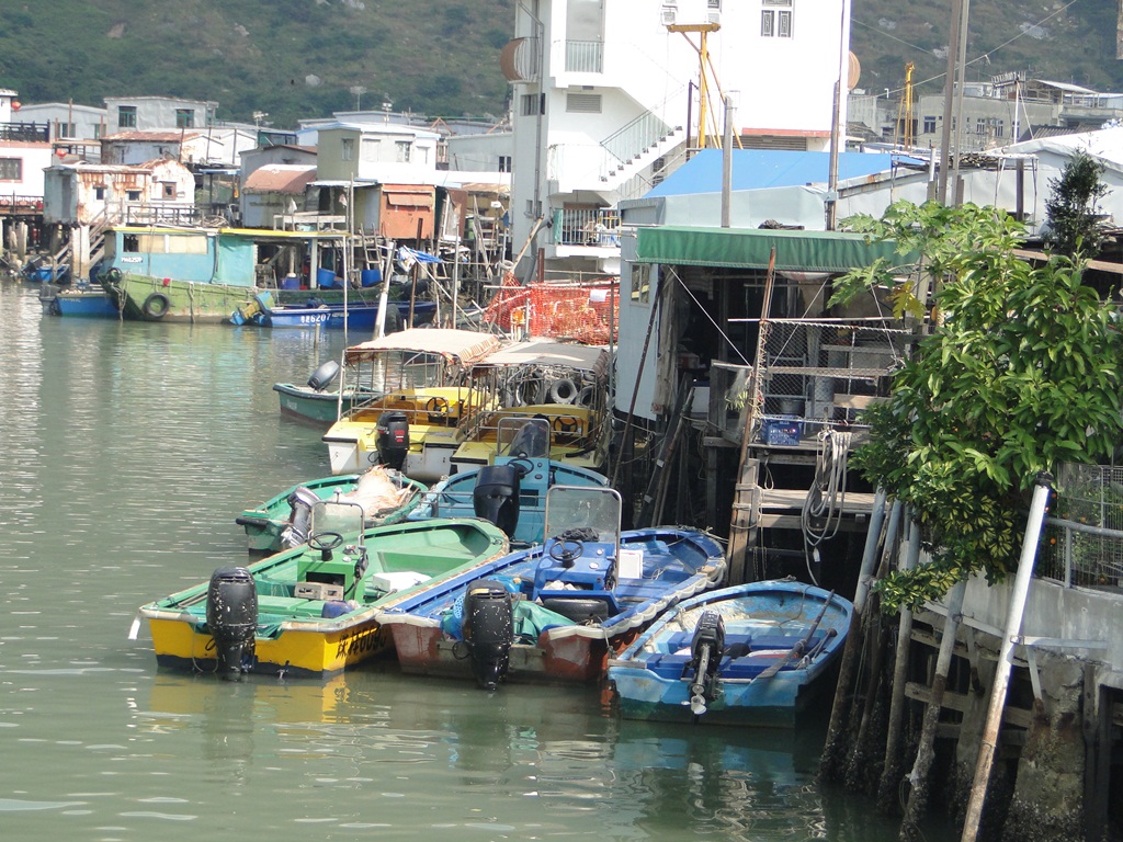 tai o6.jpg